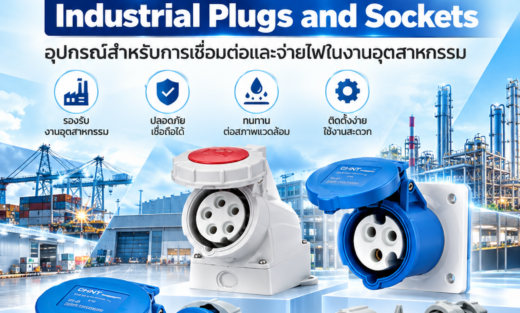 CHINT Catalog NTC1 & NXTC Industrial Plugs and Sockets อุปกรณ์สำหรับการเชื่อมต่อและจ่ายไฟในงานอุตสาหกรรม